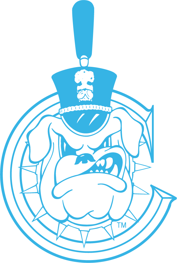 The Citadel Bulldogs 1987-2021 Alternate Logo iron on transfers for clothing